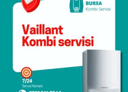 Bursa Vaillant Kombi Servisi